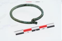 Foto von Bronzering (NHMW-PRAE-026453)